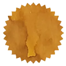 African Gold Fountain Pen Ink