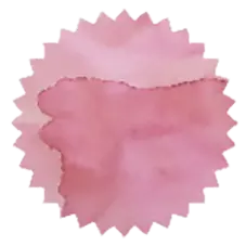 [ROI-CHRB] Cherry Blossom