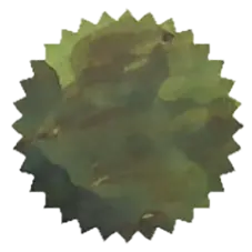 [ROI-CROG] Crocodile Green