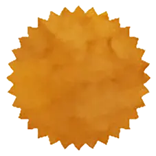 [ROI-HBEE] Honey Bee