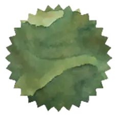 [ROI-LGRA] Lemon Grass