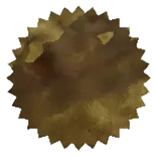 Motor Oil