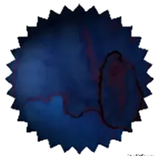 [ROI-TDEN] Tokyo Blue Denim