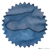 [ROI-GUMS] Gummy Shark