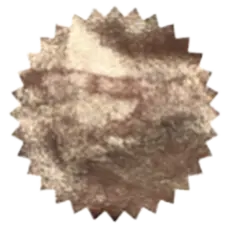 [ROI-RGTS] Rose Gilt Tynte Shimmy