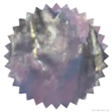 [ROI-VIDR] Violet Dreams Shimmy