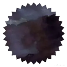 [ROI-BKVI] Black Violet